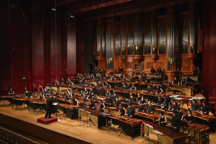 朱宗慶打擊樂團規劃「百人木琴」音樂會，將邀集100名台灣優秀打擊樂家，50台木琴同台獻藝。（朱宗慶打擊樂團提供）