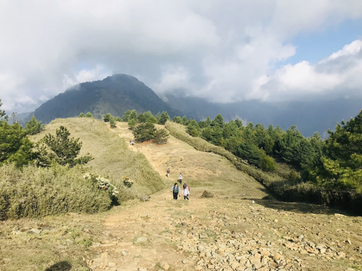 越野車闖入山林衍生山難事件與森林保安、生態保育等爭議，林務局研議修正森林法加強納管，未來可依森林法公告管制區，對違法越線的車聚開罰。（林務局提供）