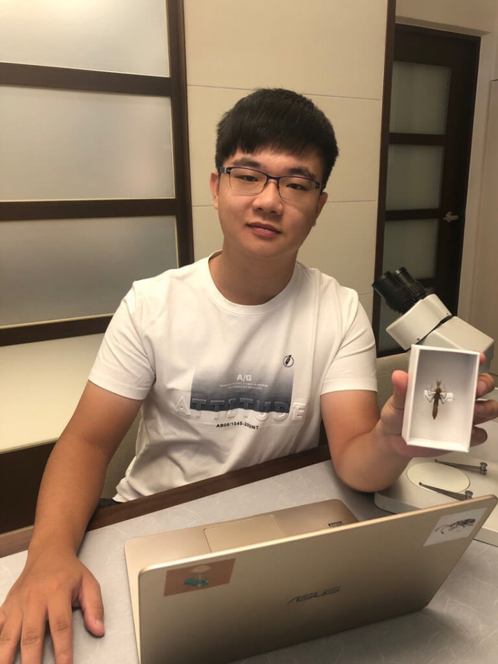 國立中興大學昆蟲系學生胡芳碩從小就喜歡昆蟲，入學至今已發表20篇國際論文。他建議高中生多接觸不一樣的事物，多嘗試可找到自己的興趣。（中興大學提供）