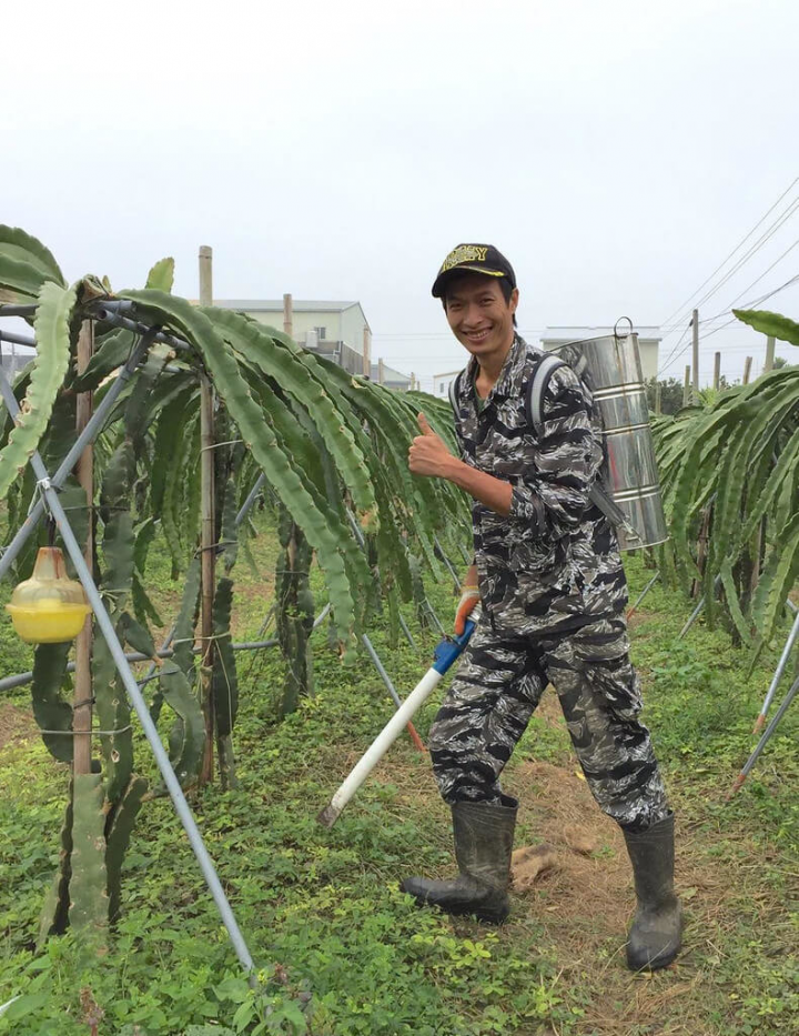 苗栗縣科技業工程師李肇昌多年前只為女兒愛吃火龍果，利用假日租地種植，堅持以友善土地方式栽植，贏得全國紅龍果評鑑冠軍。（李肇昌提供）