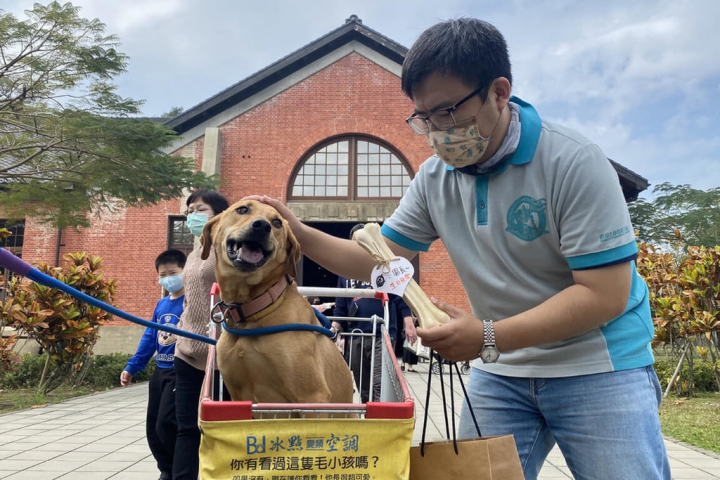 台南山上花園水道博物館認養的流浪犬「園長」進駐寵物園區滿2年，館方13日贈送左鎮化石園區特製的大骨化石造型玩具潔牙骨。（台南市文化局提供）
