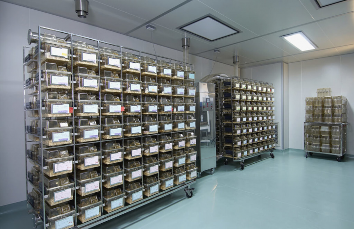 為了讓實驗動物過得舒服，國家實驗動物中心也提供動物房恆溫恆濕環境與乾淨的新鮮空氣，圖為小鼠的獨立通氣飼育盒的飼育空間，每個動物籠像套房，有自己一套獨立空調，每一籠的進氣、排氣是不同管道。（國研院國家實驗動物中心提供）