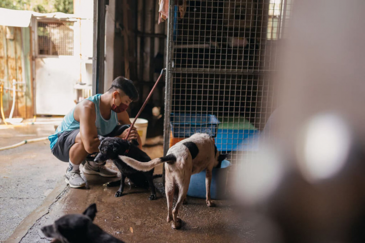 寵物美容師吳嘉育以自身專業，發起「洗愛浪浪」活動，與旗下美容師及上網號召志工到私人狗園服務，盼提升浪浪被收養的機會。（洗愛浪浪提供）