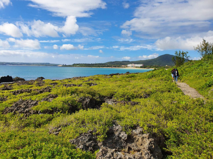 悠遊青蛙石海濱步道，有熱帶海岸植物，如棋盤腳、水芫花、草海桐；近海特殊地形景觀，如珊瑚礁景觀及海蝕崖、蜂窩岩等，盡收眼簾。青蛙石海濱步道。