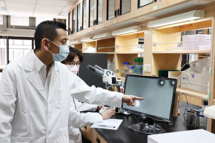 長庚大學中醫系天然藥物所副教授陳金銓（左）所領導的團隊，發現中草藥成分「補骨脂寧」能延長小鼠壽命，陳金銓解說如何運用酵母菌來進行篩選實驗。（長庚大學提供）