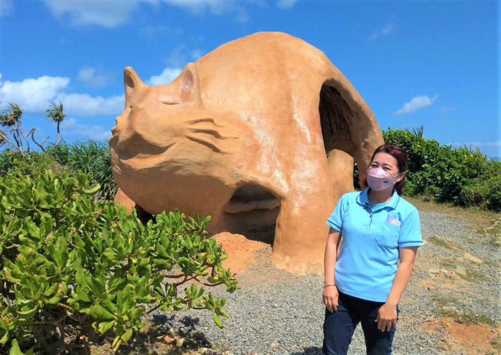 墾丁國家公園管理處邀請在地藝術家以恆春半島砍除的銀合歡枝條，經過多道防蟲處理，塑造出貓型地景藝術涼亭，遊客可坐在貓咪造型涼亭內欣賞海景，成為貓鼻頭公園新地標。（墾管處提供）