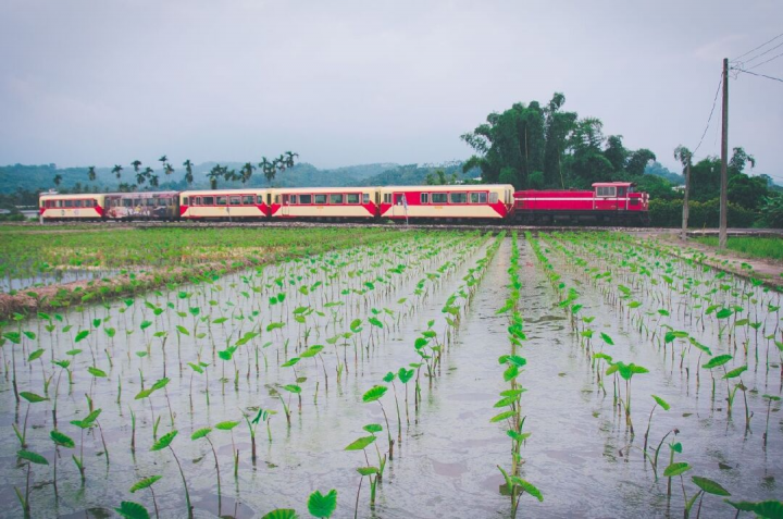 林鐵沿線一景-深海魚拍攝