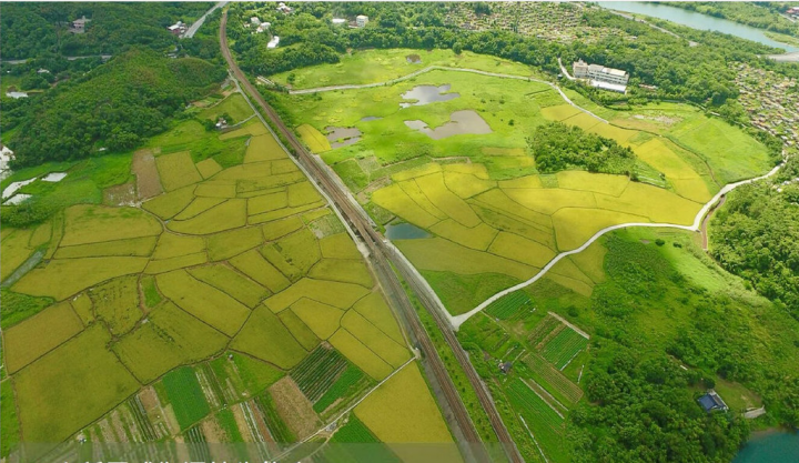 新北市政府農業局16日表示，新北市耕地面積約1萬7000餘公頃，近3年來，友善、有機耕作面積從428公頃成長至520公頃，占耕地總面積3%，高於全國平均值的2%。（新北農業局提供）