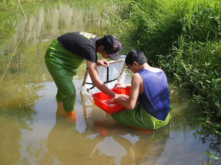 中興大學與清華大學調查國內少見橫跨水域、濱溪陸域的生態系研究，研究團隊在野外調查，以蘇伯氏水網採集水生昆蟲。（中興大學提供）