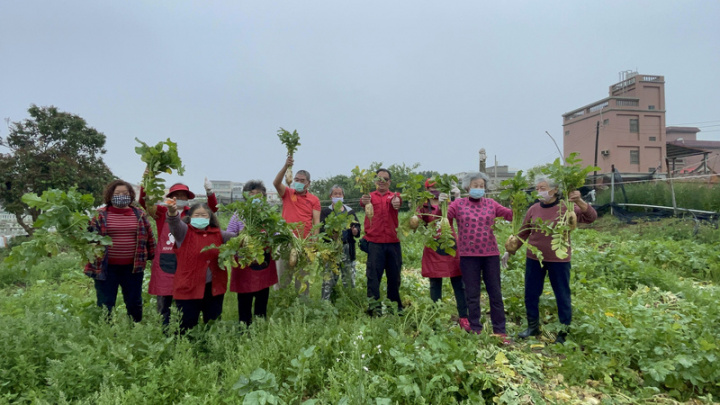 金門縣金沙鎮何厝社區發展協會總幹事王綉菊26日表示，社區去年透過小農契作蘿蔔，500平方公尺農地今年收成近900斤，堪稱豐收，讓社區婆婆媽媽十分振奮。