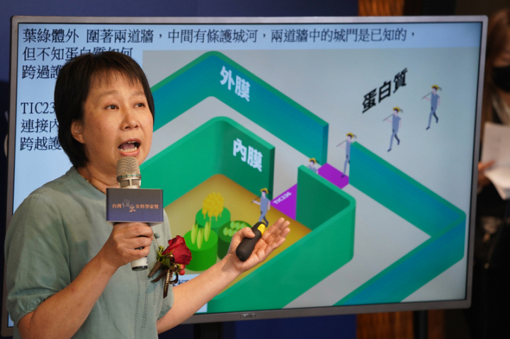 台灣萊雅和吳健雄學術基金會合作的「台灣傑出女科學家獎」26日在台北舉辦記者會，2022年最高榮譽「傑出獎」由中央研究院分子生物研究所特聘研究員李秀敏（圖）獲得，表彰她多年來在植物演化的突破發現，解開葉綠體身世及讓葉綠體得以運作的內外膜蛋白運輸橋梁。