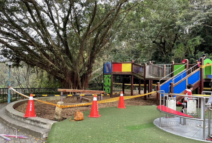 新北市三峽區林姓民眾表示，中山公園原以木屑作為遊戲區緩衝材，後來漸漸腐化變成適合甲蟲幼蟲生長的腐植土，吸引不少甲蟲在樹皮木屑區產卵，目前公所已暫時在遊戲區外拉起封鎖線，讓甲蟲寶寶可安心孵化蛻變。（周晉平提供）