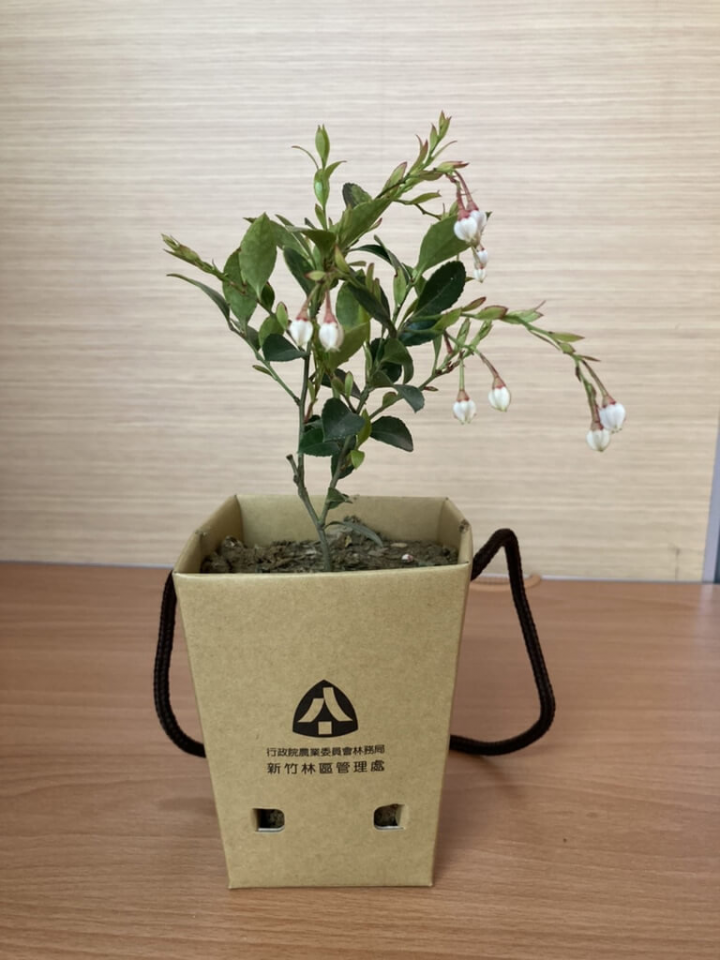 林務局新竹林區管理處推廣台灣原生植物，3月9日將於新北、桃園、新竹、苗栗等6個工作站贈送樹苗，民眾持發票換取；苗盆採用可分解材質，可一同植進土內。（新竹林區管理處提供）