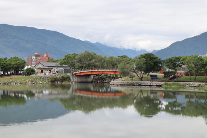 台東池上鄉公所與花蓮縣水產培育所攜手合作，將在大坡池放養3000尾菊池氏細鯽和高體鰟鮍的幼魚，盼放養原生種魚類能讓大坡池魚蝦滿池盛景再現，找回池上魚米之鄉的美名。