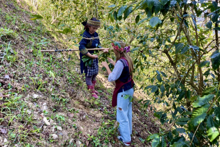 搶攻振興券商機，高雄市政府原住民事務委員會推出「高雄部落就醬玩」DIY體驗遊程，邀民眾到部落享受文化之旅，也帶動原鄉族人經濟收入。（高雄市政府提供）