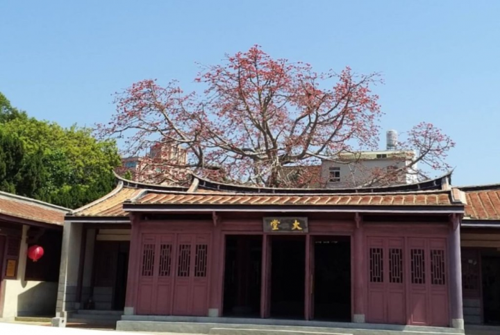 金門縣政府公告51株以榕樹、黃連林居多的樹木為受保護樹木，其中多數為百年以上老樹；公告後價值相當文化資產，非經許可不得任意砍伐、移植或修剪。圖為民國110年總兵署木棉花盛開。（金門縣政府提供）