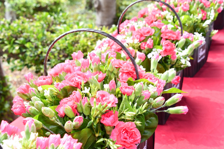 母親節將至，為避免COVID-19疫情影響慶祝活動而導致康乃馨滯銷，田尾鄉農會18日舉辦康乃馨行銷推廣記者會表示，花卉透過低溫宅配，民眾可放心訂 購。（彰化縣政府提供）