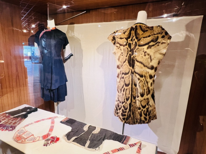 「斜坡民族家傳文物特展」即日起至6月28日在屏東縣原住民文化會館一樓展出，其中vuvu的雲豹皮背心是一件來自泰武鄉佳興部落的Djakudjakuc家族文物，年代在民國4年以前，是排灣族工藝家沈秋大父親在世時所傳承文物，已有百年歷史。