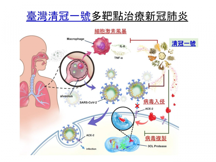 「清冠一號」可多靶點治療COVID-19。(衛福部國家中醫藥研究所所長蘇奕彰提供)