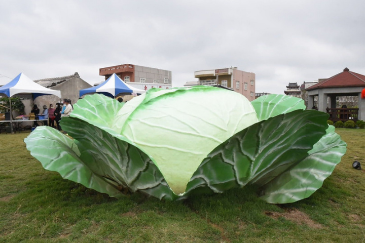 澎湖烏崁高麗菜公園7日揭牌，公園內的大型高麗菜地景藝術是由澎湖藝術家吳飛達與社區規畫師等共同完成，直徑過2公尺，是澎湖境內最大的一顆。