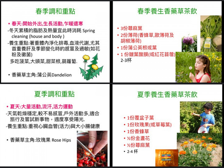 講師分享春夏季節養生調和重點