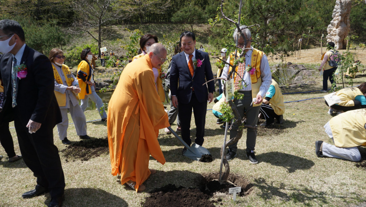 大家一同種樹減少二氧化碳