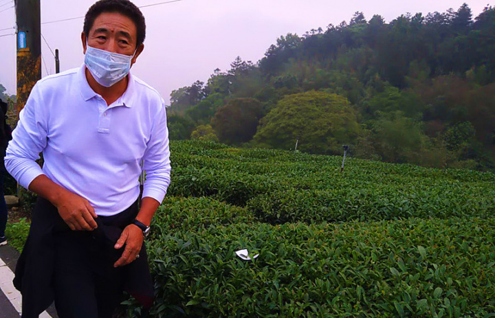 嘉義阿里山區近日開始採收春茶，常見每一畦茶樹的頭一株別著一張紙，上頭寫有採茶工名字，茶農表示，這叫「採茶實名制」，要採茶工為自己採茶區域負責。