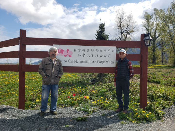 加拿大台糖蘭園不畏疫情逆境，仍衝出好成績。台糖加拿大分公司兩位經理正在進行交接工作。左為即將卸任的王禮賢，右為新上任的莊瑞德。