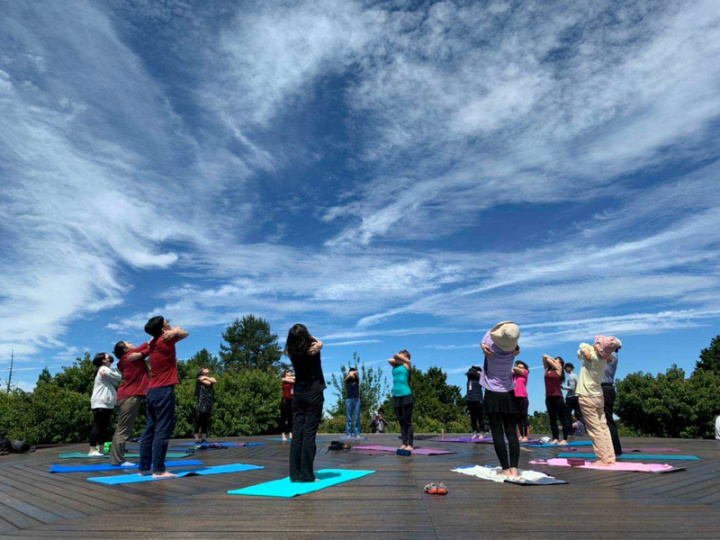 嘉義林管處與旅行社合作，6月至8月推出森林療癒遊程，安排遊客在海拔2000公尺以上的阿里山國家森林遊樂區小笠原觀景平台進行瑜伽活動，舒展身心。（嘉義林管處提供）