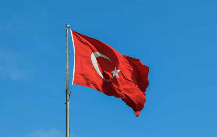 世衛大會倒數 駐土耳其代表投書籲挺台參與