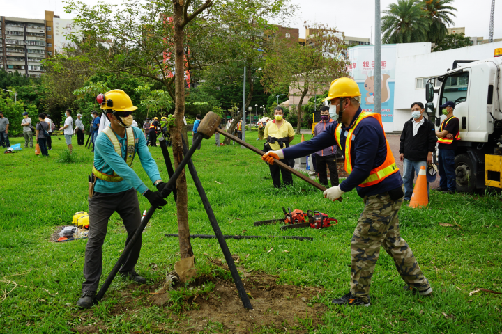 Class Helps Train City Staff for Mission to Protect Trees