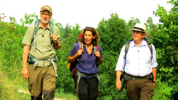 世上最長壽的萬年樹瑞Old Tjikko位於瑞典海拔1044公尺的菲呂山上，只有在當地嚮導的協助下才能到達。左為德國資深林務員彼得渥雷本（Peter Wohlleben）。（海鵬影業提供）