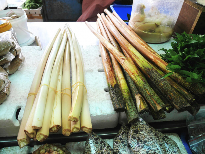 黃藤植株雖長滿銳刺，但食用部位的黃藤心卻幼嫩細緻，還富含礦物質鋅。（花蓮農改場提供）