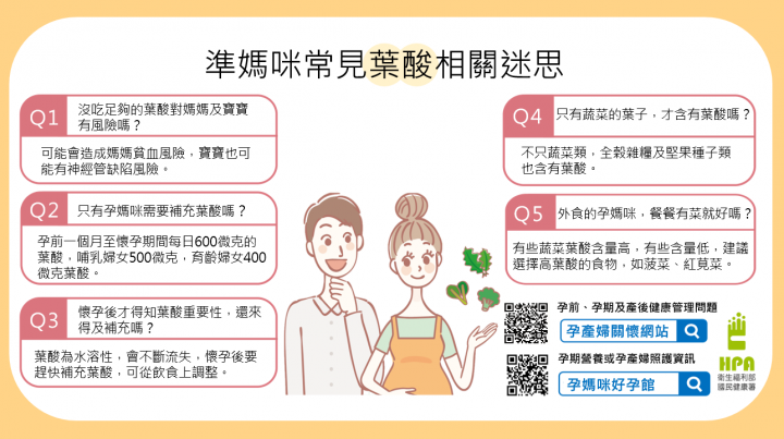 準媽咪常見葉酸相關迷思