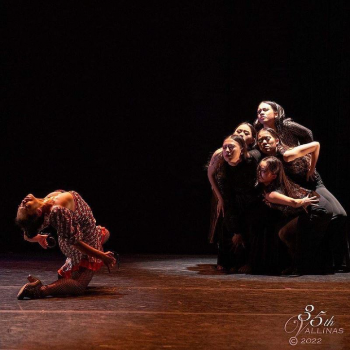 Taiwanese dance troupe Genio Dance Group took home the first prize at the flamenco competition in Madrid, Spain.