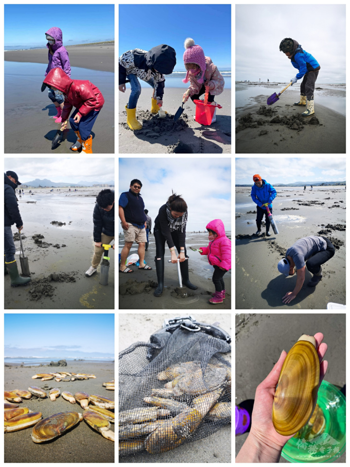 大小朋友玩得不亦樂乎、滿載而歸