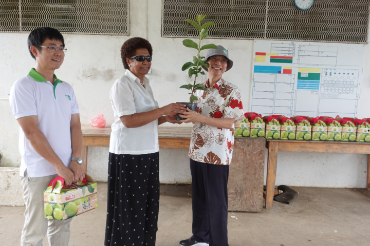 8位斐濟國會議員參訪臺灣技術團Sigatoka農場