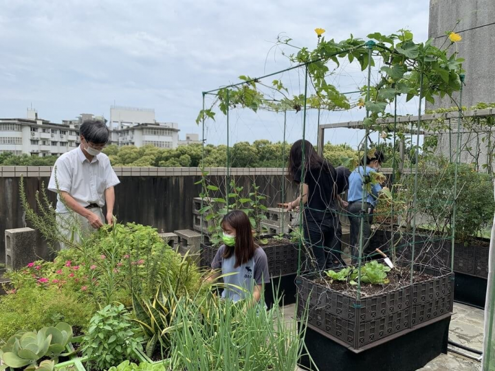 國立陽明交通大學環工所團隊打造零廢棄循環型都市農園，透過蚯蚓能分解生廚餘，並建置供水等循環系統，能幫助屋頂降溫達到節能減碳，減緩熱島效應。（陽明交大提供）