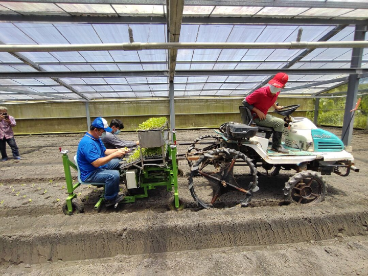 葉菜移植機田間示範操作