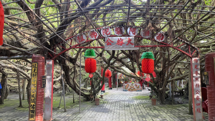 彰化縣竹塘鄉九龍大榕公為1棵樹齡百年的大榕樹，樹冠面積超過2500平方公尺，也因枝幹盤根錯節，形如龍飛九天，因此命名為「九龍」。