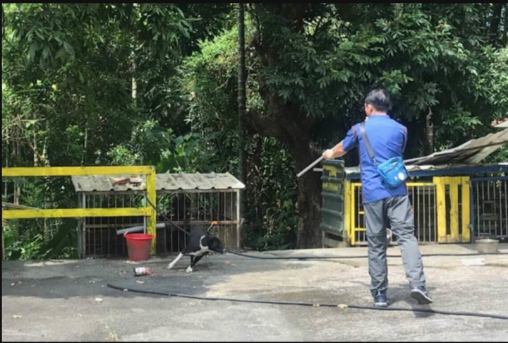 目前實際會操作吹箭的獸醫師並不多，一般執業獸醫在協助執行吹箭業務時，為免實作經驗不足，高雄市政府動保處特別透過專業課程訓練分享，盼提升獸醫吹箭製作與使用技巧，也協助組織吹箭隊，提高麻醉效率並提升管制及結紮量能。（高雄市農業局提供）