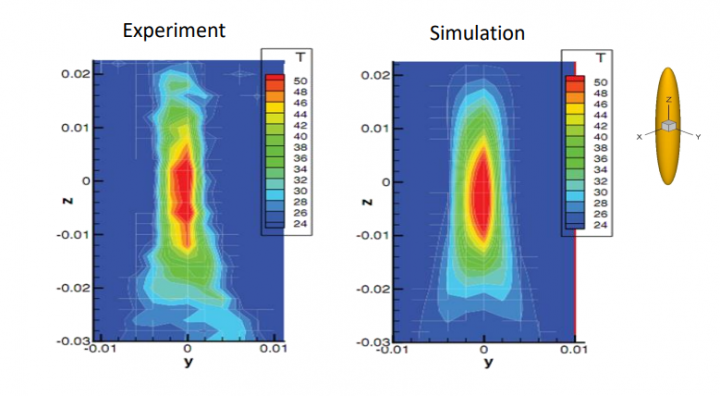 客製化肝癌精準醫療 國衛院研發肝腫瘤熱消融高效能運算模擬