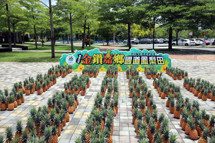 國道3號古坑服務區的嘉義縣物產館4日舉行開幕活動，現場也打造「國道鳳梨田」地景，民眾只要向農民買1顆鳳梨，就讓民眾自己採收1顆，買一送一活動直接回饋消費者支持。