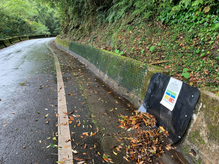 北橫公路水泥護坡設置協助蛇類攀爬離開的菱形網_特生中心提供(陳惇聿攝)