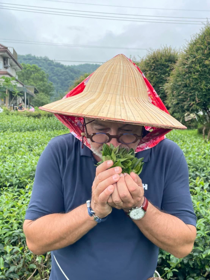 法國參議員體驗採茶 (圖片來源：吳志中臉書)