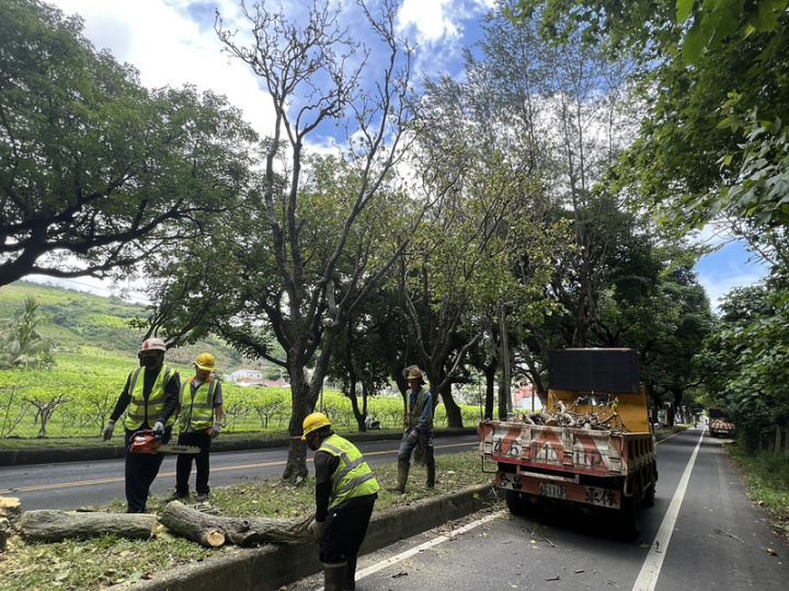 台9線台東卑南綠色隧道2日起開始進行24棵染病刺桐樹木移除作業，因須動用大型機具，將占用慢車道和部分快車道，有必要進行單向交通管制，提醒用路人留意。