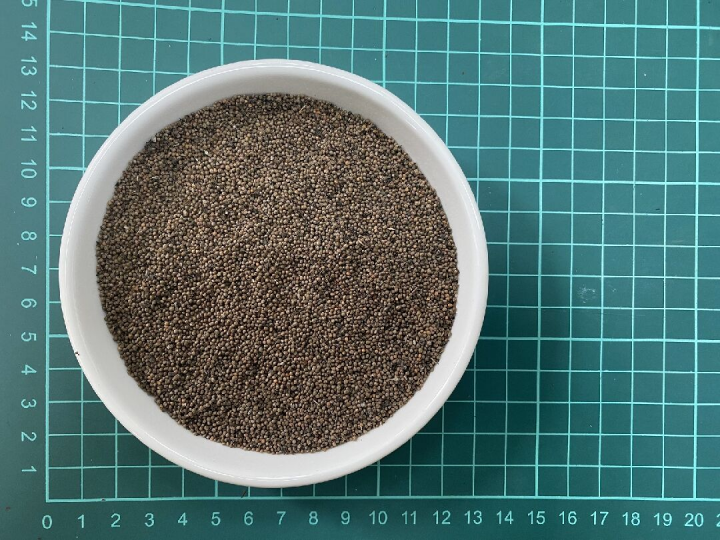 花蓮區農業改良場採出的紫蘇種子樣貌