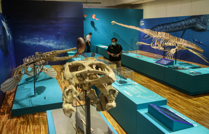 國立台灣博物館推出「水怪—水棲爬行動物化石展」，27日舉行開幕典禮，展出多種水棲爬行動物的珍貴化石，讓大眾了解演化奧秘。