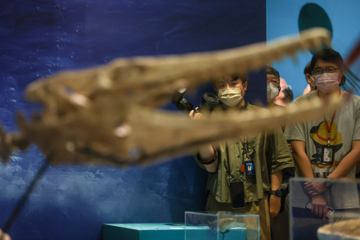 國立台灣博物館推出「水怪—水棲爬行動物化石展」，27日舉行開幕典禮，場內展示扁掌滄龍等多件骨骼化石，民眾可認識多樣形態的水棲爬行動物家族