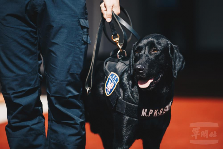 國防部於北、中、南及東部地區，各建置有緝毒犬分組